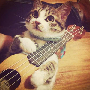 黑人把女学生弄到高潮
